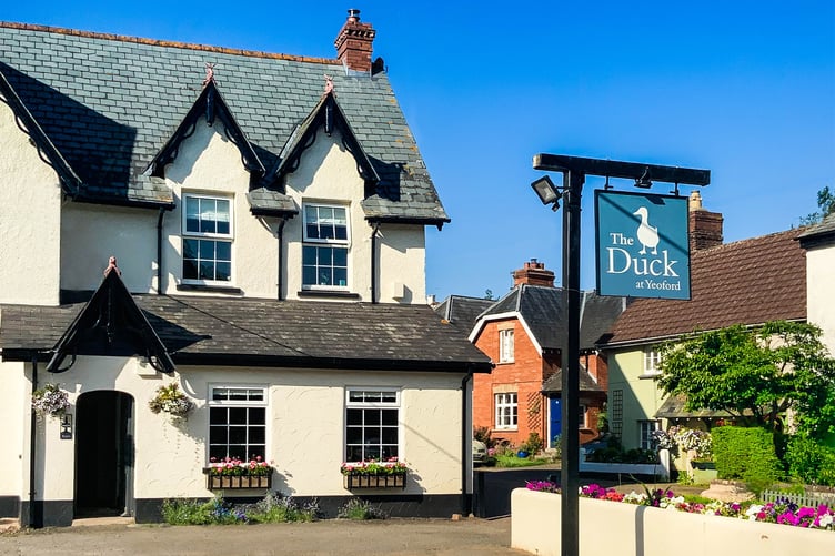 The Duck at Yeoford