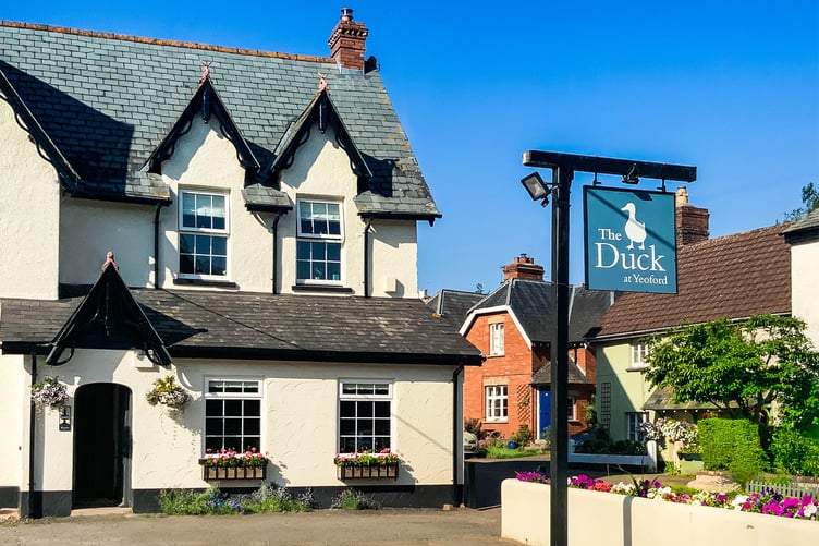 The Duck at Yeoford
