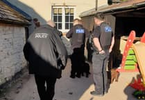 Arrest made in Mid Devon following animal welfare warrant