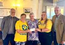 Rotarians raise thousands in swim-a-thon and promise auction
