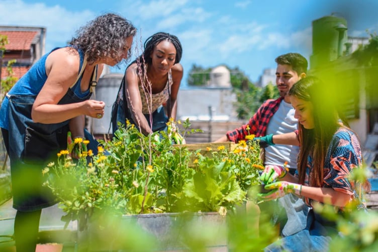 Apply now for grants to create or improve green spaces.