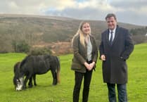 Central Devon MP describes pony threat as 'total madness'