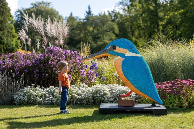 Child enjoying seeing a kingfisher model