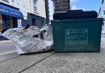'Best value for money' waste overhaul is welcomed