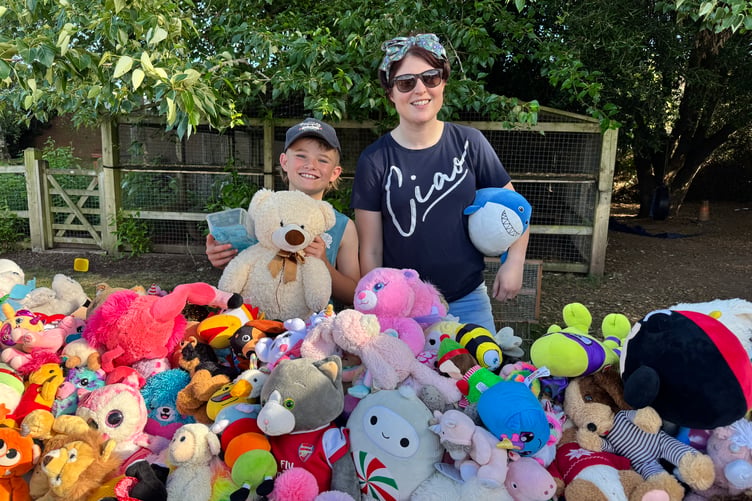 The Teddy Tombola is always a favourite at Hayward’s School Summer Fete. AQ 3901