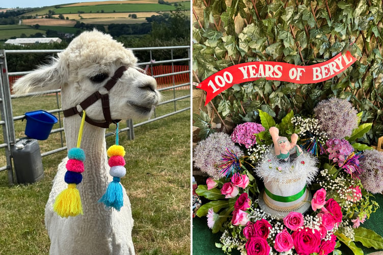 One of the alpacas and part of a floral display about the artist Beryl Cook. AQ 4042/3975
