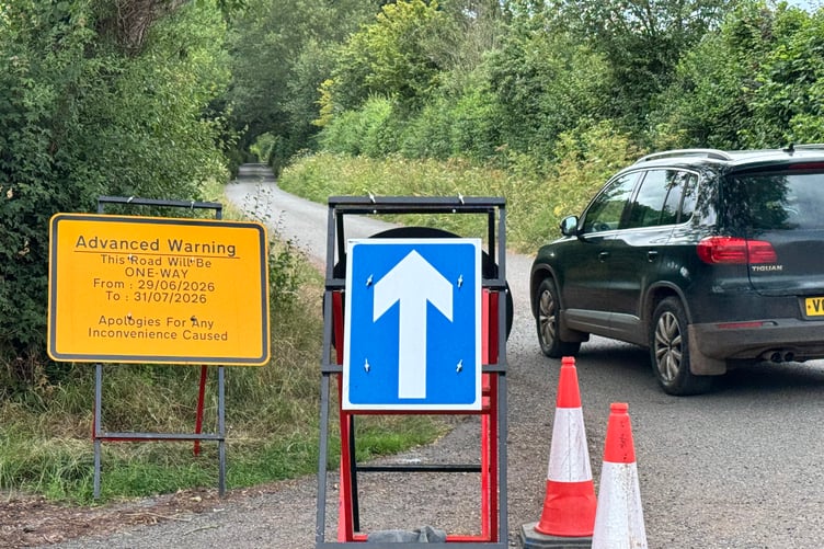 The one-way system in place near Shobrooke Park towards Newton St Cyres. AQ 4437