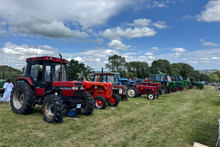 Impressive lines of vintage tractors could be viewed. AQ 4050
