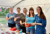 Yearly Strawberry Fair raises money for Sandford School