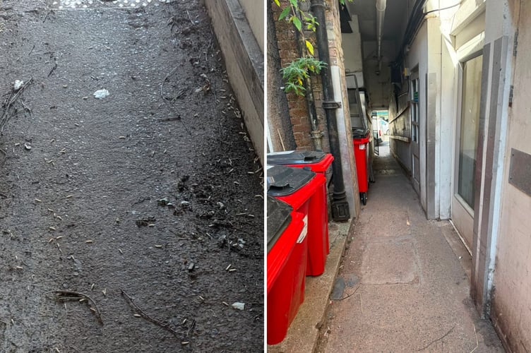 Maggots where waste had been building up, left, and the cleaned and cleared alleyway, right