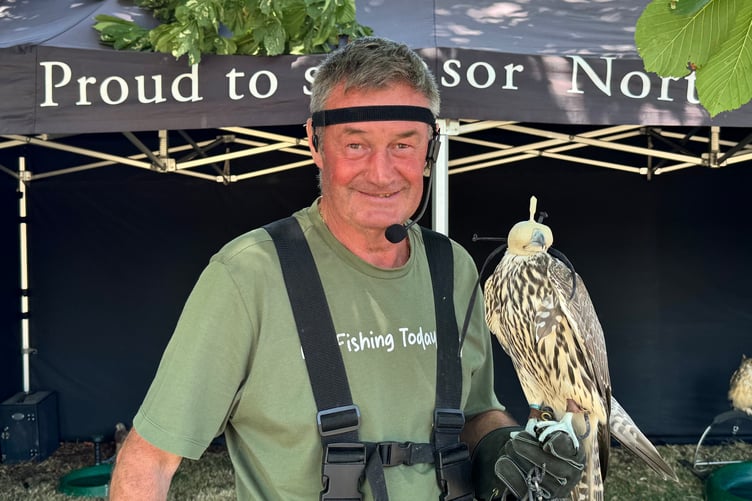 Martin Simkins of North Devon Falconry exhibited falcons, owls and kestrels at Lapford Revel. AQ 5199