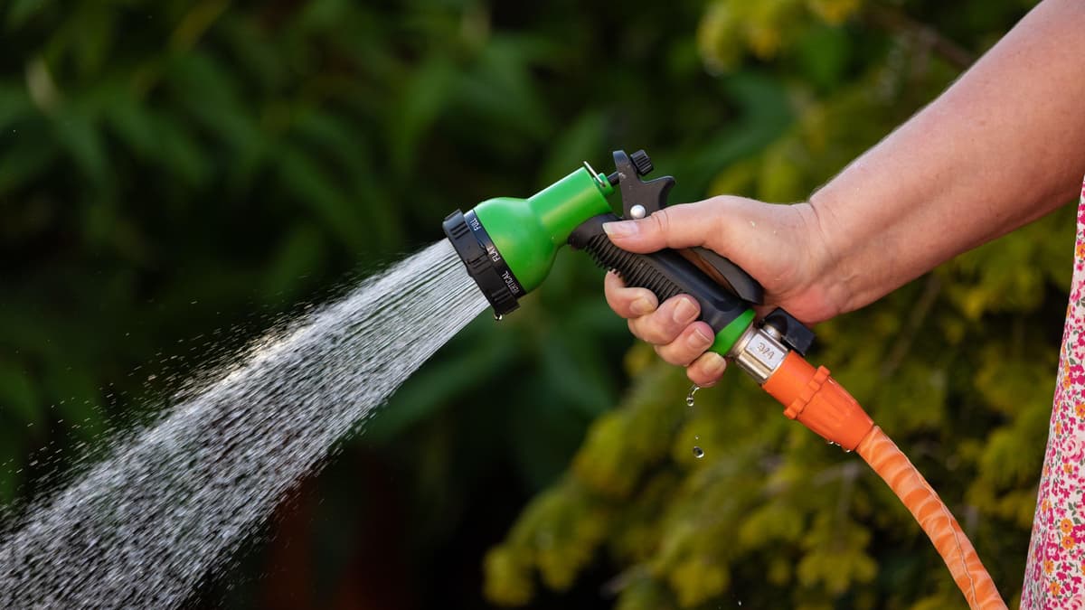 South West Water announces temporary hosepipe ban across the region