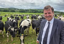 Backing Devon’s Dairy Farmers and the Future of British Food