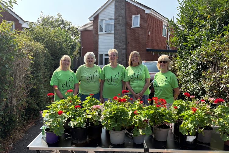 Crediton Fundraising Group of Exeter Leukaemia Fund at the Meadow Gardens plant sale.
