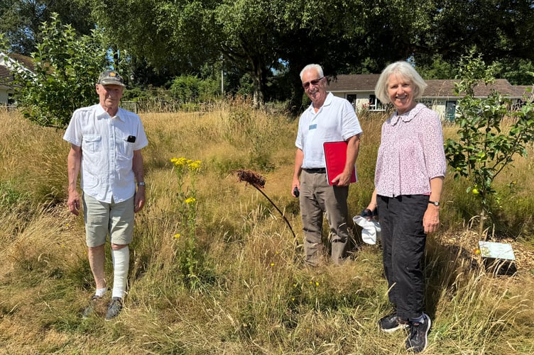 Viewing the orchard in Court Orchard during the South West in Bloom judging. AQ 4954