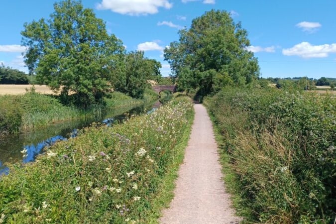 Grand Western Canal Country Park