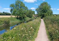 Volunteers sought to protect canal