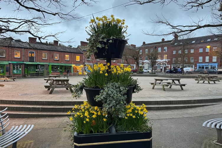 Crediton Town Square in February. AQ 5199