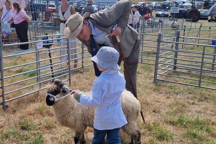 Mr Robert Hopper of Gogwell Farm, Tiverton judged the Interbreed and Championship sections and also the Young Handlers. One of our youngest entrants was this young man, photograph by his mum.
