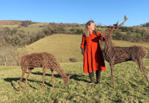 Don't miss artist's willow sculptures at RHS Rosemoor
