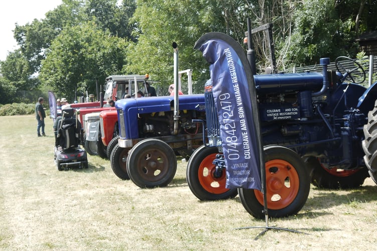 Some of the Colgrave and Son vintage tractors on display at Lapford Rally.