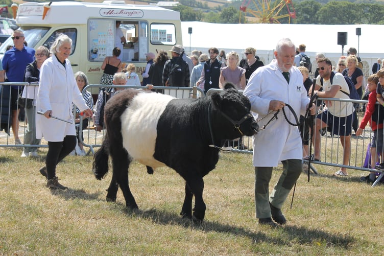 Judith and Derek Galloway of Chawleigh won prizes in the Galloway cattle classes at North Devon Show. AQ 1801