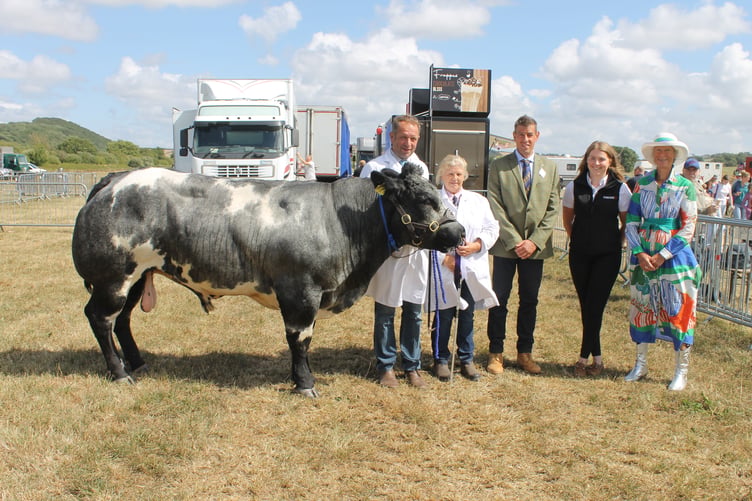 John Quick of Coldridge won the Champion British Blue class with his bull Springhill Universe. AQ 1822