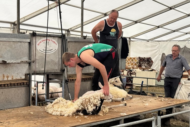 The shearing exhibition saw many people watch. AQ 7595