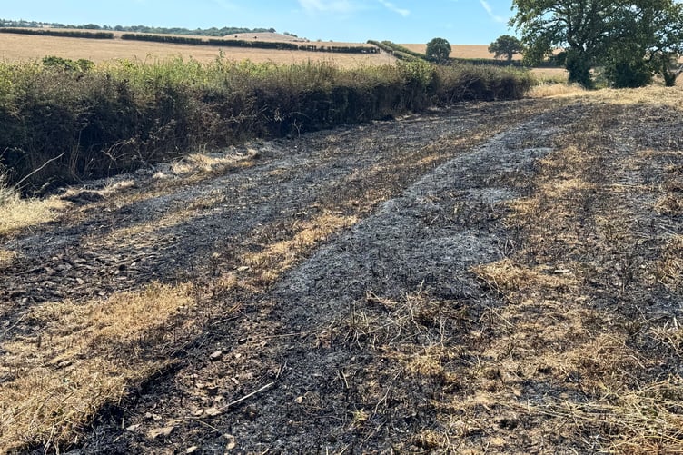 A part of the field where the fire took hold at Eastacott Farm, between Crediton and Whitestone. AQ 8962