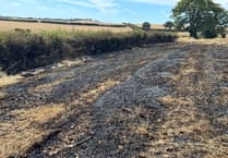 Farmers and firefighters put out field fire