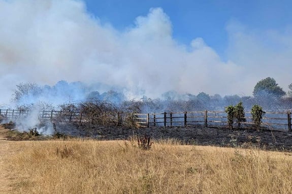 During the fire at Mincinglake Valley Park.
