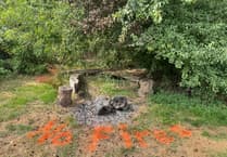 Sandford Green Committee plea after firepit used