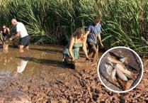 Hundreds of fish die near Exeter despite volunteer rescue efforts