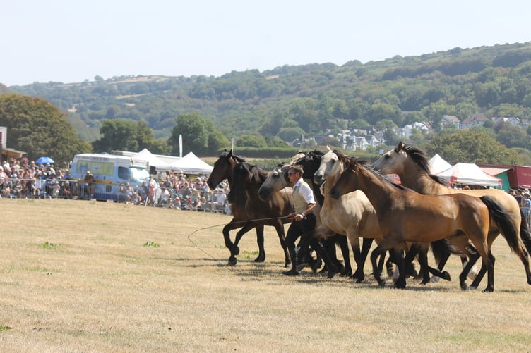 Ben Atkinson with his horses in the main ring at Okehampton Show. AQ 2071
