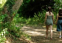 Get set for city walking festival