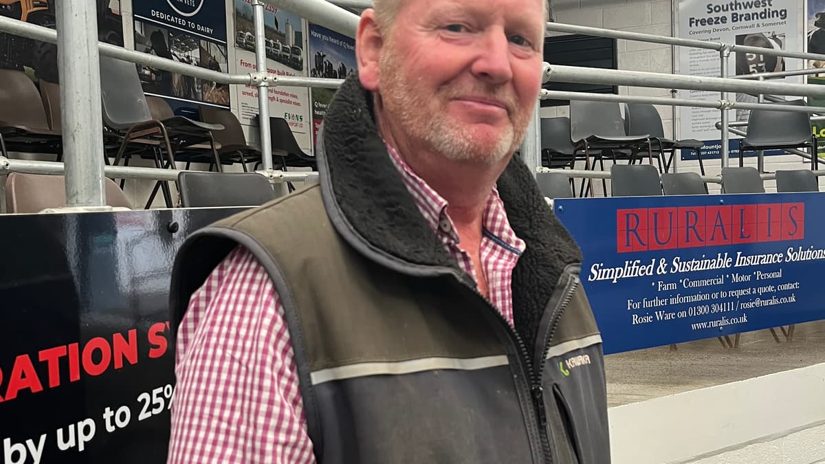Farmers call for subsidised bluetongue vaccines