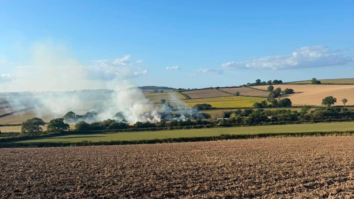 Firefighters control Coldridge field fire