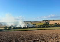 Firefighters control Coldridge field fire