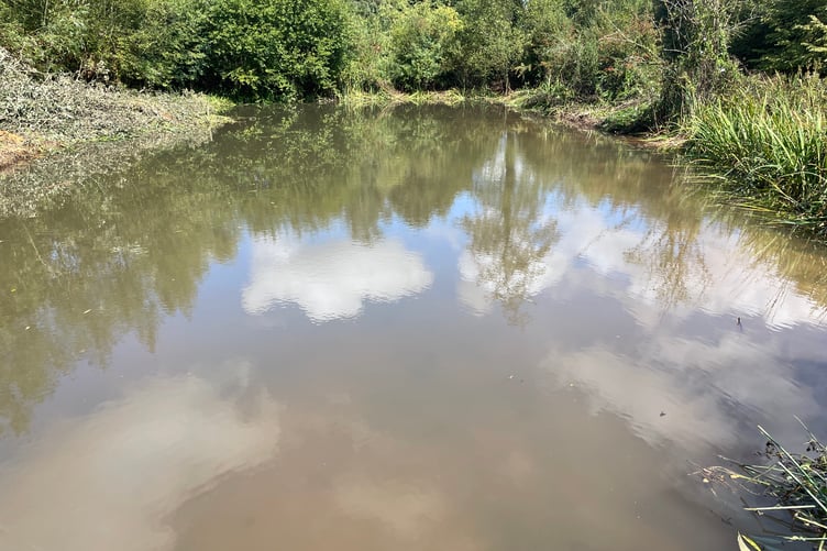 Sandford Millennium Green pond just after the inlet pipe had been unblocked.