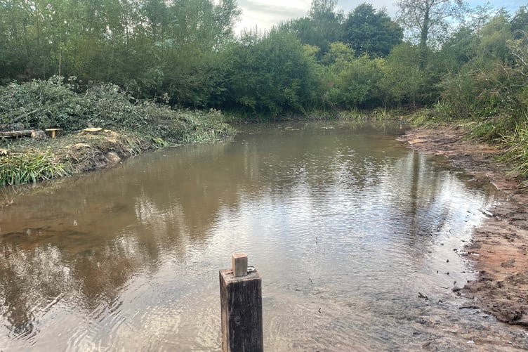 Sandford Millennium Green pond the day after the dredging had taken place.