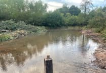 Sandford Millennium Green pond renovation success
