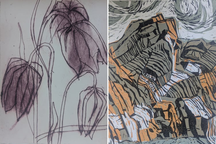 Fritillaries, left, and Abbotsham Cliffs, art which will be for sale at the Art Aid Weekend.
