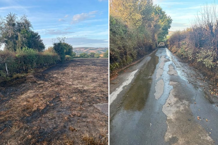 A part of one of the fields which caught fire and the car in the road in the second image.