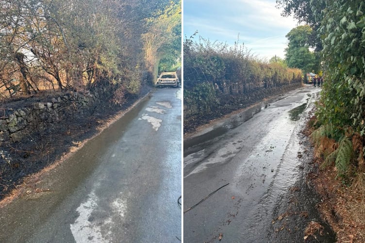 The car and an area of the hedge which caught fire and a fire engine in the distance.