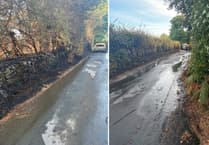 Vehicle fire spread to fields and hedges