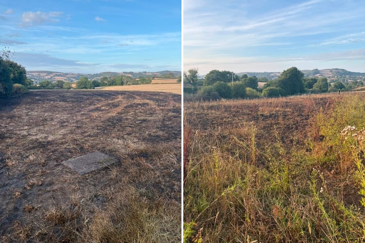 Images of where the fields caught fire.