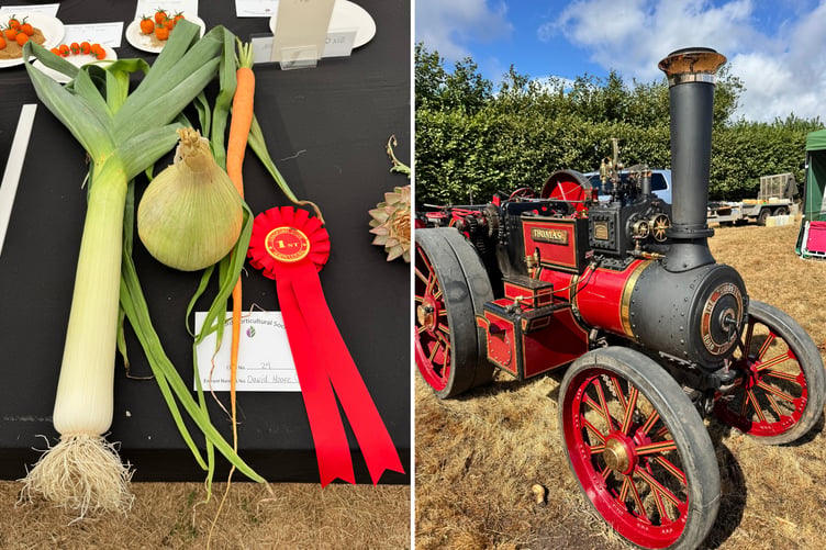A trio of lovely veg exhibited by David Hoare and a large scale model of a steam engine. AQ 9395/9359