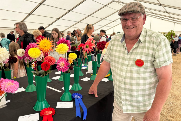 Roger Hutchings was a winner with 5 mixed dahlias at Chagford Show, video Alan Quick AQ 9440