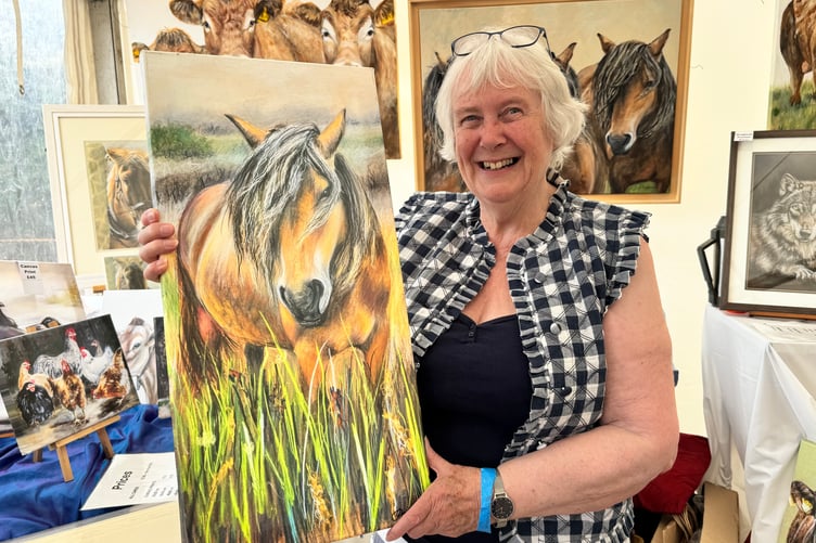 Janet Jarvis of North Tawton exhibited and sold her paintings, cards and prints at Chagford Show, video Alan Quick. AQ 9450