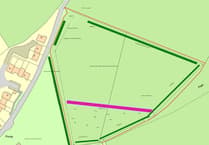 Secure dog-walking plans for Silverton field